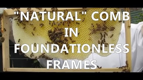 1st Year Beekeeping, Foundationless Frames (Aug 28, 2010)