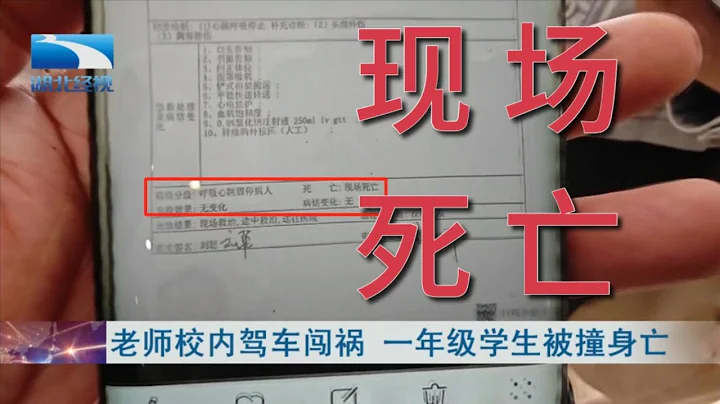 【转载】湖北经视采访：小谭大伯、小谭妈妈、月湖校区校长、教育局相关负责人等 - 天天要闻