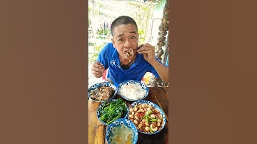 ăn cơm với cà chộn mắm cá cơm l phước hồ channel