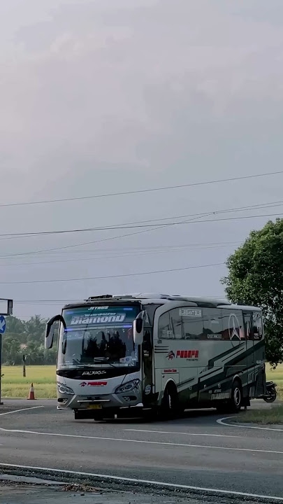 Story'WA bus PEBEPE DIAMOND mboiss 30 detik