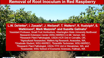 Managing Soilborne Diseases Through Removal of Root Inoculum in Red raspberry, Lisa DeVetter WSU