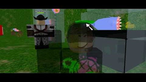 What the ? The Shark Eat ducks??