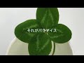 愛はかげろうのように I&rsquo;ve Never Been To Me 2021 08 22