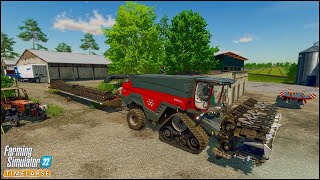 Buying Nine NEW Fields. Harvesting Sunflowers & Oat. Baling Straw | #Zielonka Ep.63 | #FS22