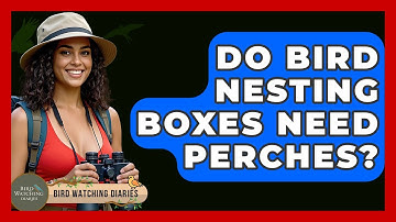 Do Bird Nesting Boxes Need Perches? - Bird Watching Diaries