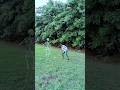 #assamtezpur #dalimsharma #bhutiya kahani video horror bhutiya kahani stories hindi short video vfx