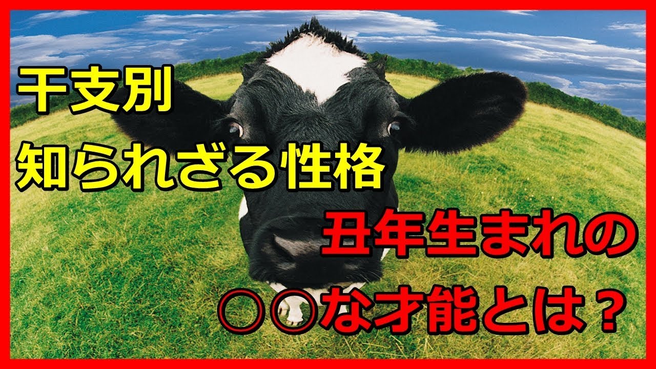 丑年生まれ21年の年齢 丑年さんの5つの性格 特徴 話題ネタ 会話をつなぐ話のネタ