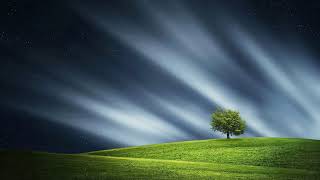 Wondering about the image of God