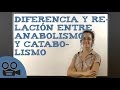 Diferencia y Relación entre anabolismo y catabolismo