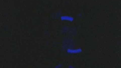 BlackLabel01 Glowstringing [Genxglow.com]