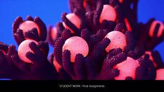 Abstract Effects in Houdini Promo Trailer