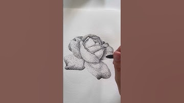 Day 12 Stippling #stippling #sketchbook #sketchbookart #watercolorpainting #artteacher #arttutorial