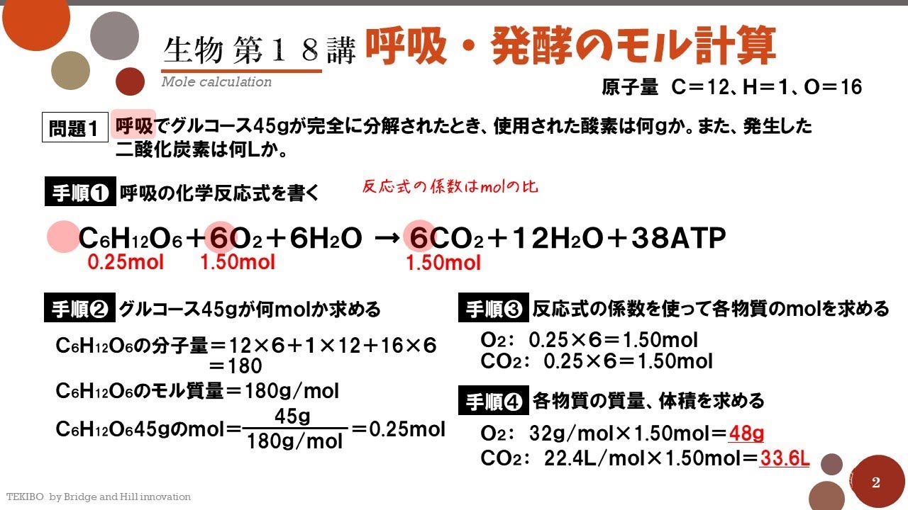アルコール 発酵 反応 式
