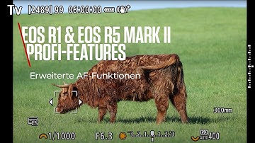 EOS R1 & EOS R5 Mark II Profi-Features: Erweiterte Autofokus-Funktionen