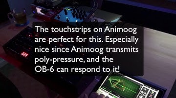 OB-6 Exploration with Animoog, Timeline, Hall Of Fame.