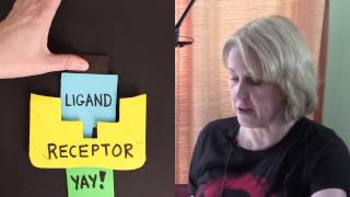 Receptors: Agonists & Antagonists