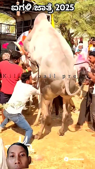 #remix #dj #music #newmusic #party #car #bull #automobile #trending #cow