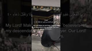 Surah Ibrahim (Abdul Rahman Al Ossi)