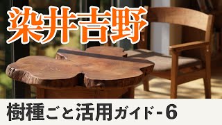 街の一番人気の木、ソメイヨシノ（染井吉野）の木材としての可能性（都市林業）