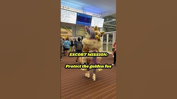 🦊 When your custom character enters the cutscene 🐱 Feat. @Astra_Kitty  #furry #gaming