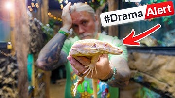 THIS LIZARD CAUSED SO MUCH DRAMA!! WHY?? | BRIAN BARCZYK