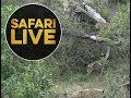 safariLIVE - Sunrise Safari - May 30, 2018