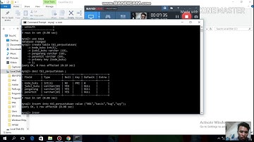 Tugas membuat database di cmd