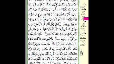 الصفحة (499) من المصحف الشريف ( سورة الجاثية - مشروع حفظ القرآن الكريم )