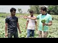 মালিক সিডস এর এক্সপ্রেস মূলা, সবার থেকে এগিয়ে