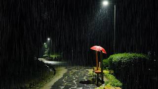 Umbrella Rain Sound ASMR | Gentle rain falls on the umbrella