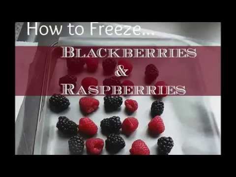 How to freeze Blackberries How to Freeze Raspberries