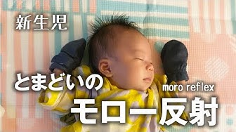モロー反射 Youtube