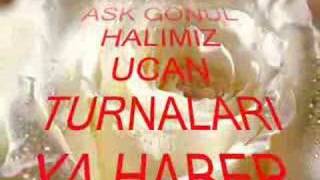Gül Muhammed