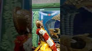 sriperumbudur swami Ramanujar Thiruavathara utsavam DAY- 1 morning pallaku purappadu Divya sevai