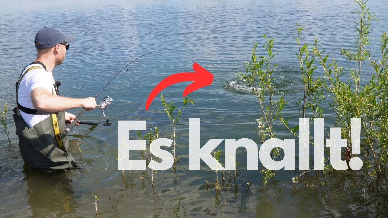 Angeln mit Köderfisch am Fluss!