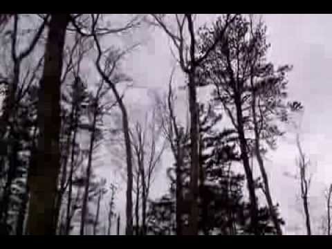 Timber Top Cabin Rental Video By Jim Barr By Jim195920121959