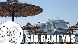 Sir Bani Yas Impression: Middle Eastern Cruise 4K