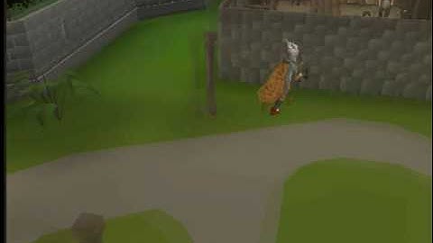 Swatknight0 - 99 Defence