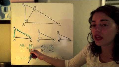 3-20 Proving the Pythagorean Theorem Using Similarity