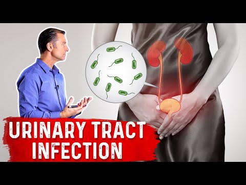 Top Natural Remedies for a UTI (Urinary Tract Infection)