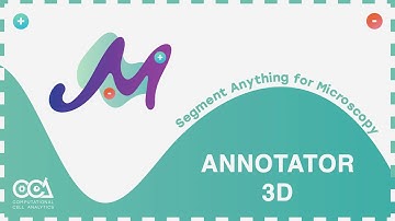 3D Annotation with Segment Anything for Microscopy