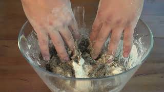 Kid Experiments: Mini Dinosaur Dig Site | English | Darwin and Newts