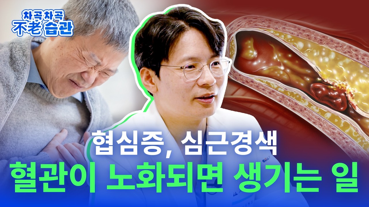 혈관이 노화되면 생기는 일 (협심증, 심근경색 안 걸리려면?)