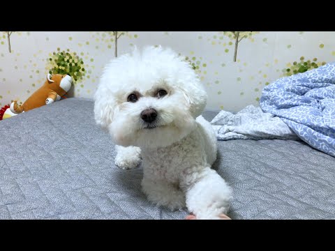 간식먹자~ 했을 때 귀여운 <strong>고창석</strong> 반응 (+ 보창석)