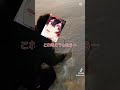 カラピチで、こう言うの、ありそうw