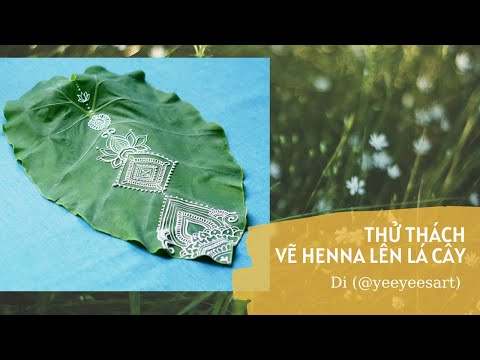 Video: Thông tin về cây Henna - Henna đến từ đâu