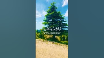 #سورة الكهف#يوم الجمعة #صلو على النبي #اذكرو الله