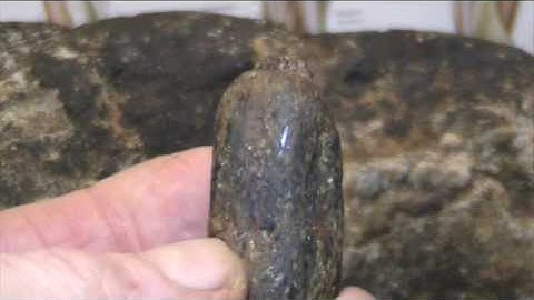 Mudfossil fingers and toes with calouses