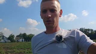 Капуста Агресор. Огляд  02.09.2025 🥬🥬🥬