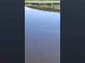 #рыбалка